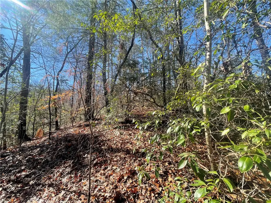 305 Whitewater Lake Road, Tamassee, SC 29686 - #2