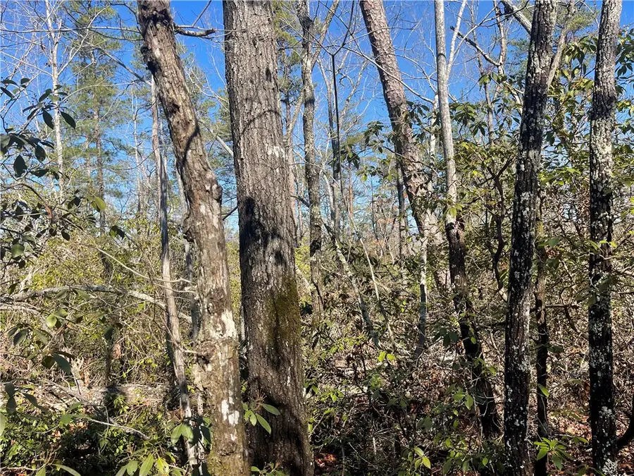 305 Whitewater Lake Road, Tamassee, SC 29686 - #3