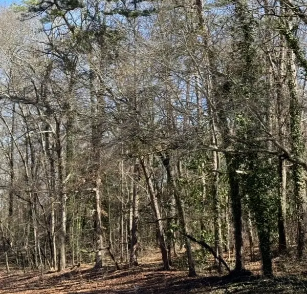 Lot 1-C Greenville Street, Anderson, SC 29621