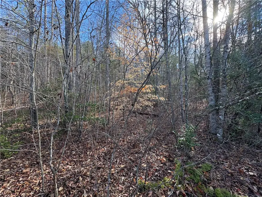 619 The Bear Boulevard, Tamassee, SC 29686 - #2