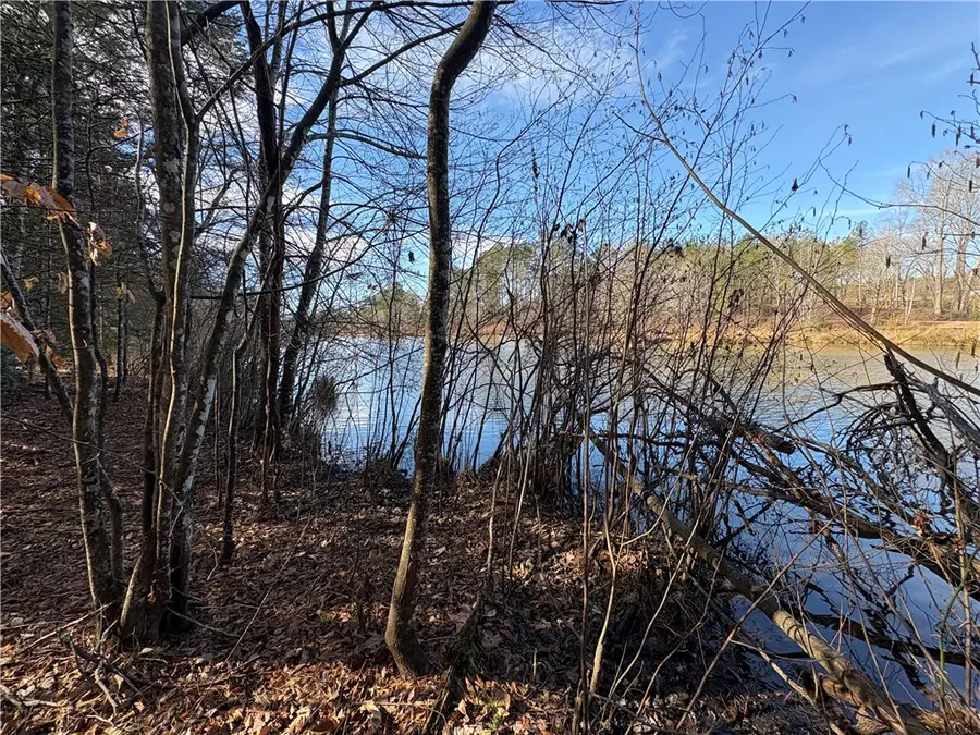 617 The Bear Boulevard, Tamassee, SC 29686 - #2