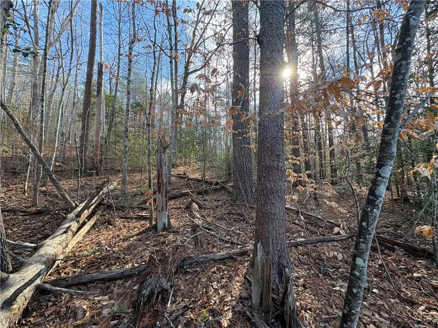 617 The Bear Boulevard, Tamassee, SC 29686 - #3