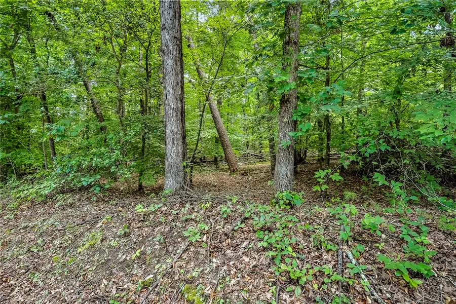 0 Pistol Club Road, Easley, SC 29640 - #2