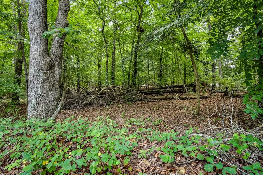 0 Pistol Club Road, Easley, SC 29640 - #3