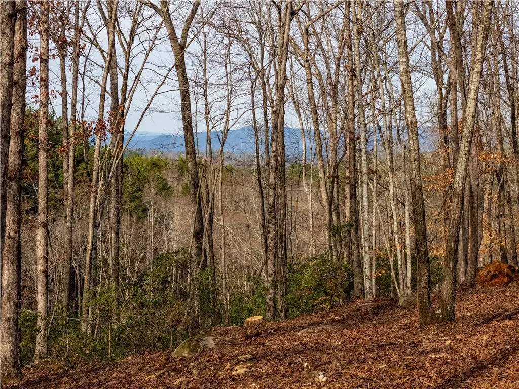 Lot 116 Pine Harbor Way, Salem, SC 29676 - #1