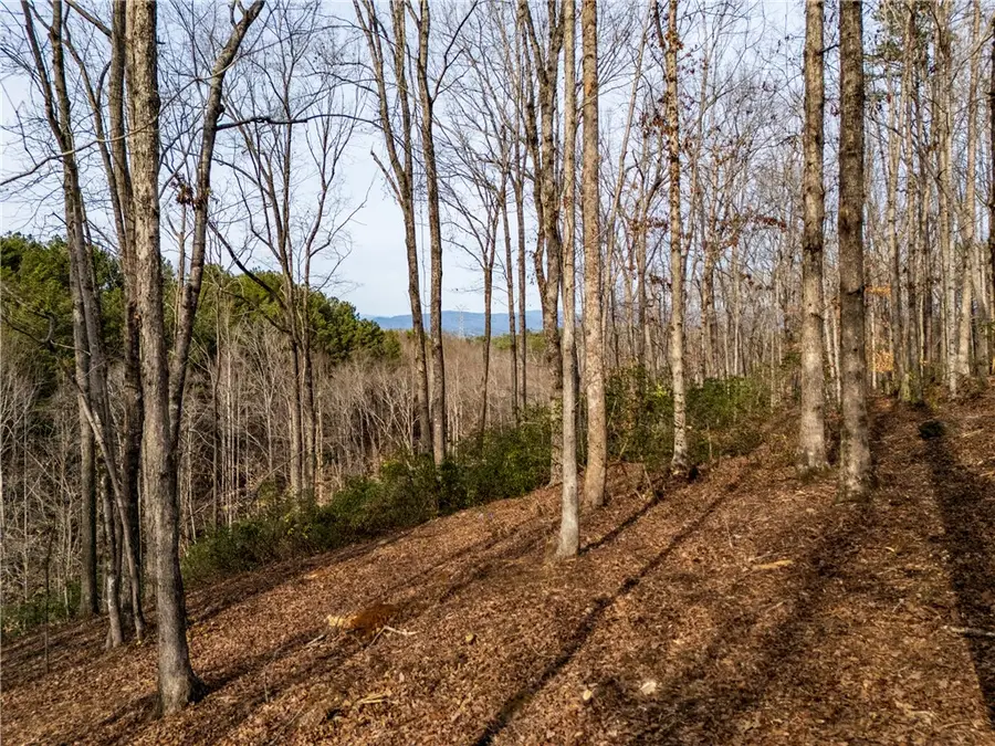 Lot 116 Pine Harbor Way, Salem, SC 29676 - #2