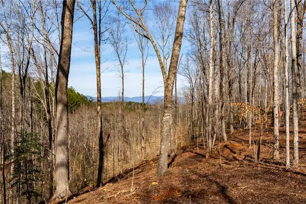 Lot 117 Pine Harbor Way, Salem, SC 29676