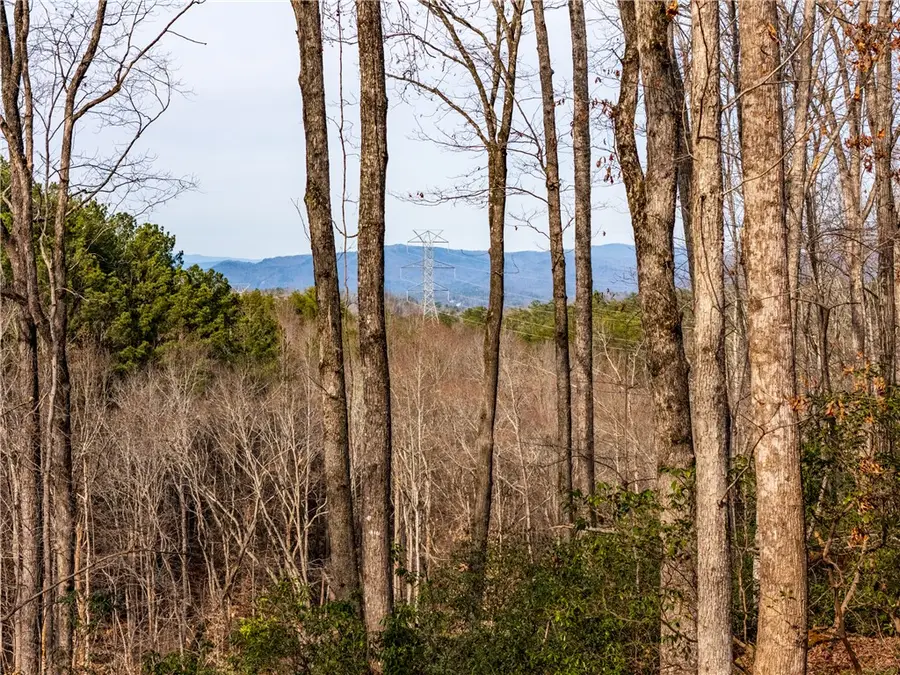 Lot 118 Pine Harbor Way, Salem, SC 29676 - #2