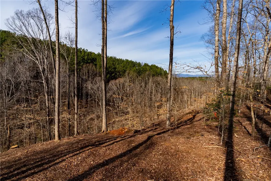 Lot 118 Pine Harbor Way, Salem, SC 29676 - #3