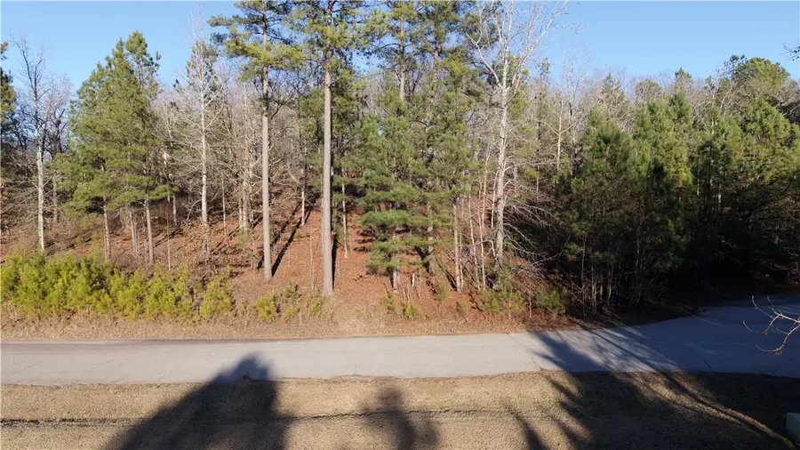 Lot 16 Monticello Court, Gray Court, SC 29645 - #2