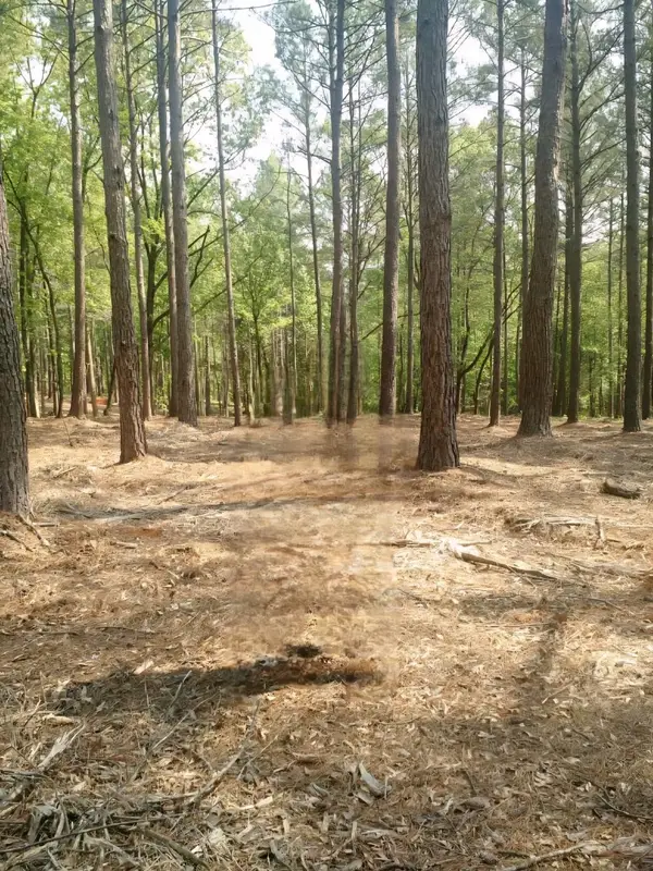 Lot #63 Harbor Point Road, Seneca, SC 29672