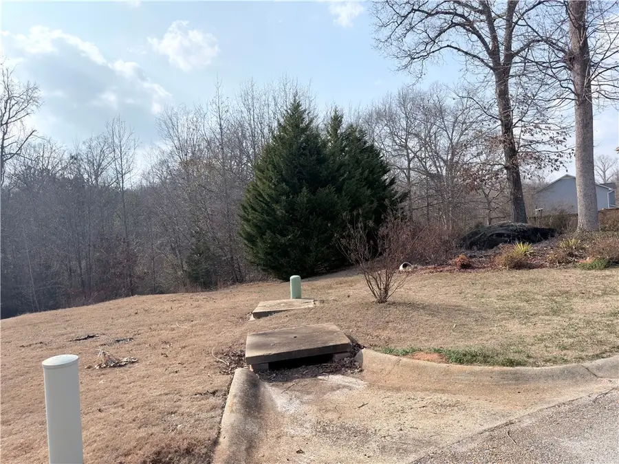 304 Forked Oak Way Way, Fountain Inn, SC 29644 - #3