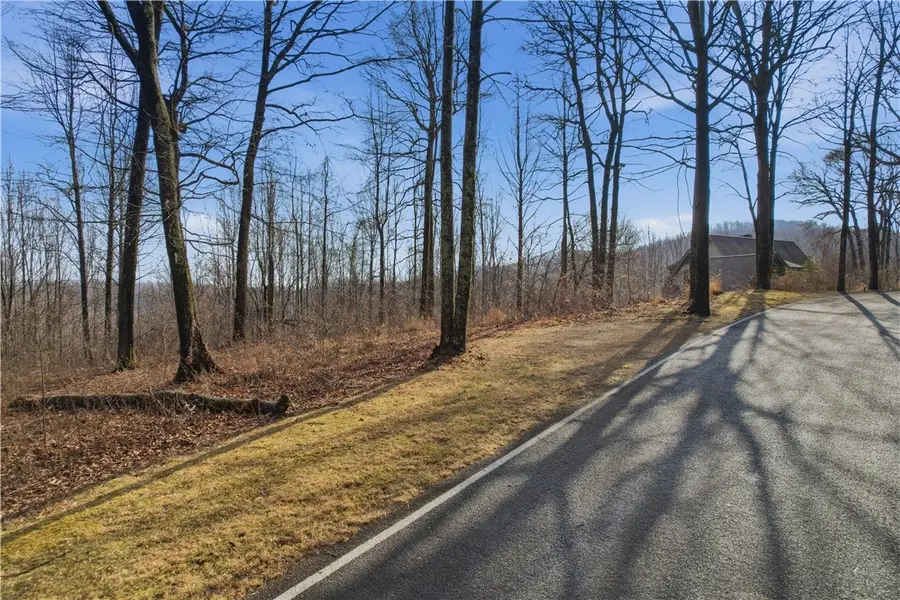 116 Witch Hazel Trail, Landrum, SC 29356 - #2