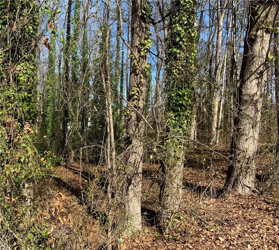 00 Cox Avenue, Anderson, SC 29621 - #2