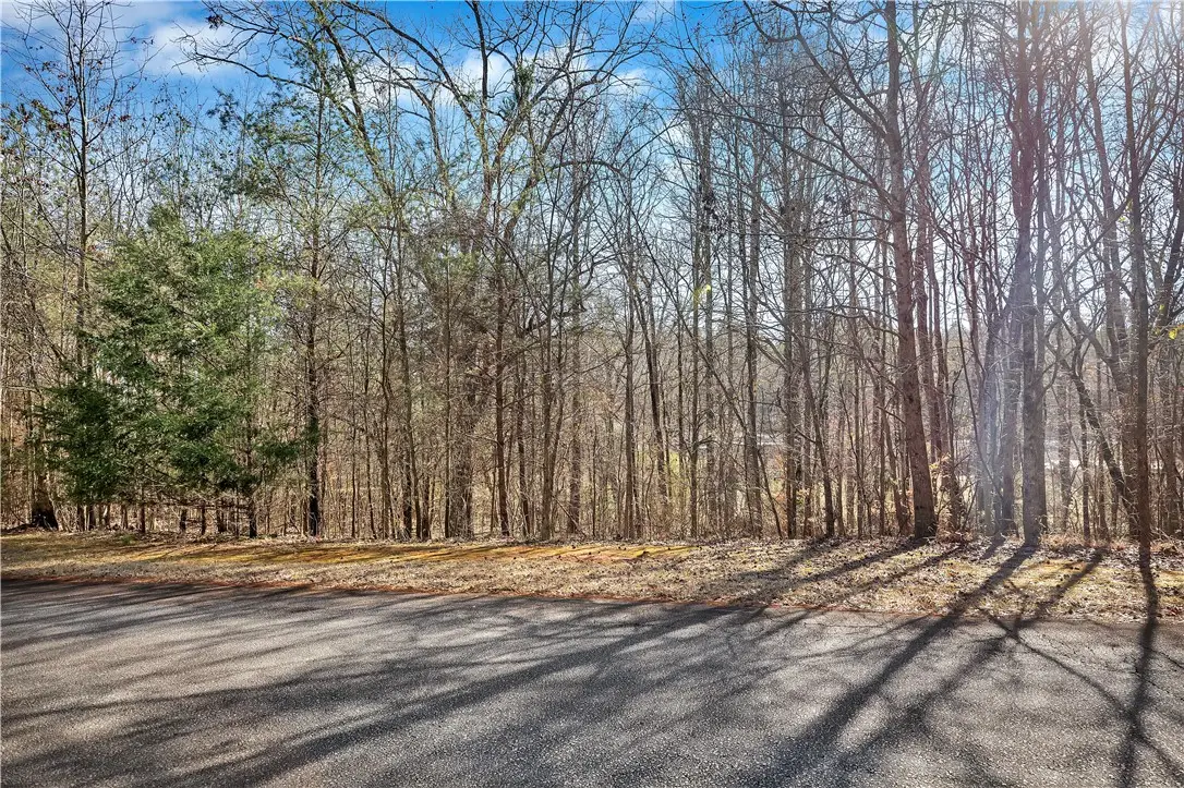 1102 Bay Drive, Fair Play, SC 29643 - #1