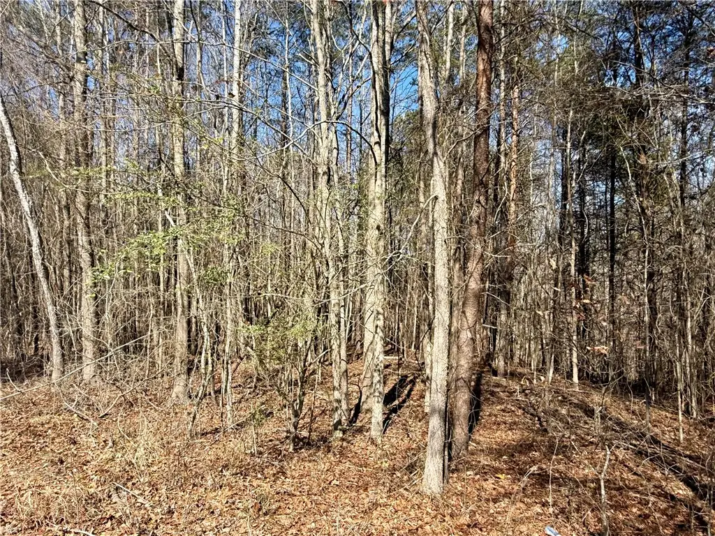 00 Friendship Loop Drive, Seneca, SC 29678 - #1