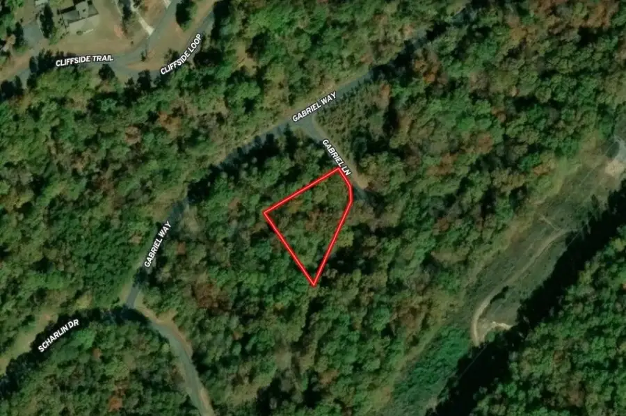 8 Gabriel Lane, Pickens, SC 29671 - #2