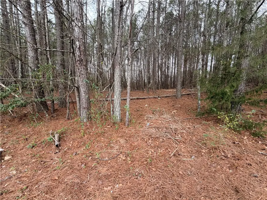 122 Haynie Drive, Belton, SC 29627 - #3