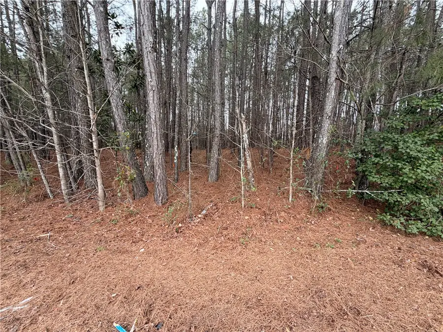 124 Haynie Drive, Belton, SC 29627 - #3