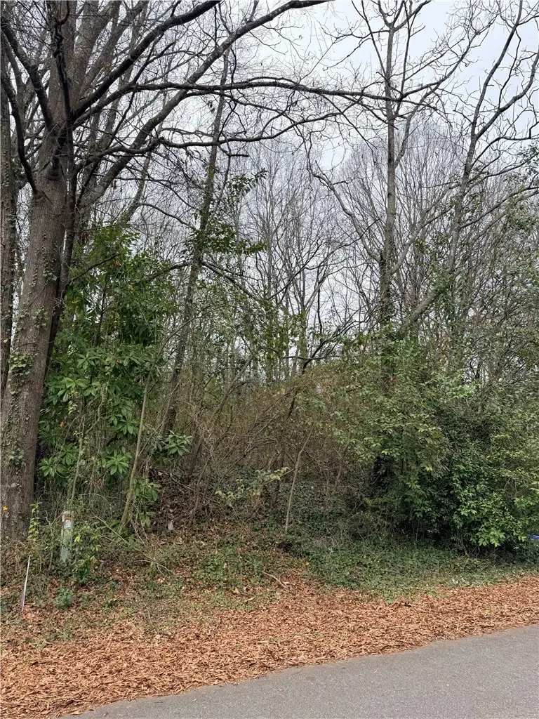 0 Lyndon Avenue, Anderson, SC 29624 - #3