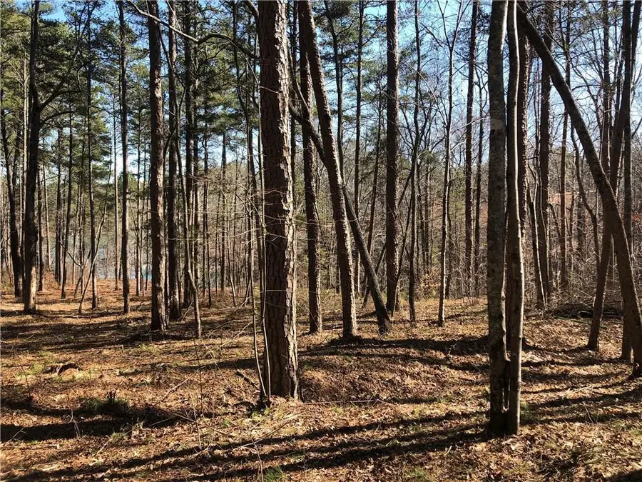 Lot 44 Glassy Water Way, West Union, SC 29696 - #2