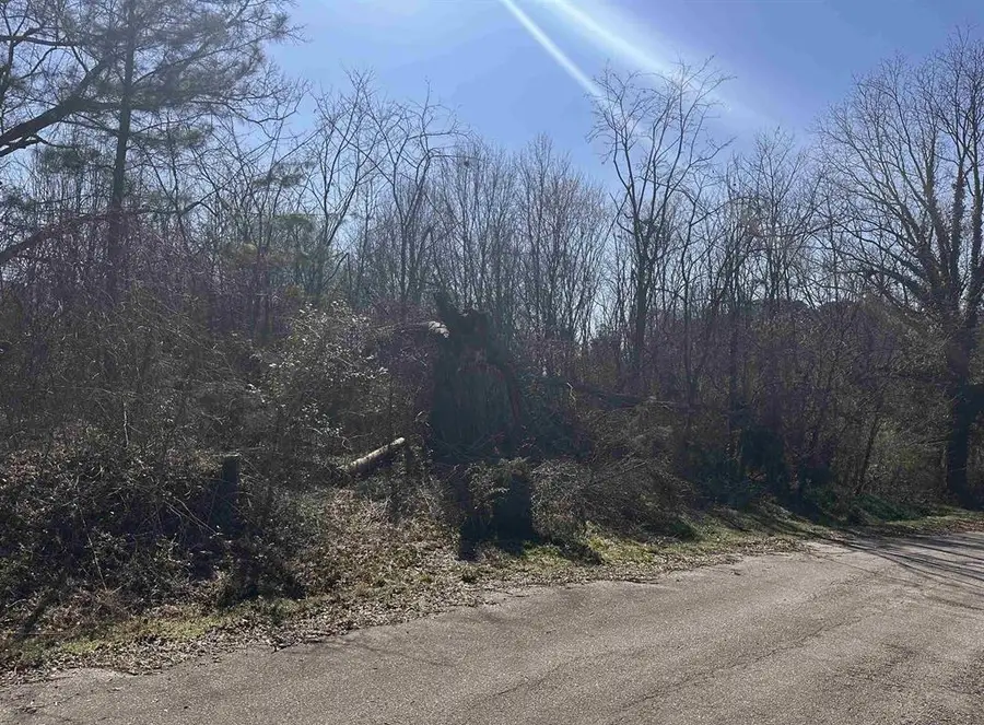 Lot 14 Wenzick, Anderson, SC 29625 - #3