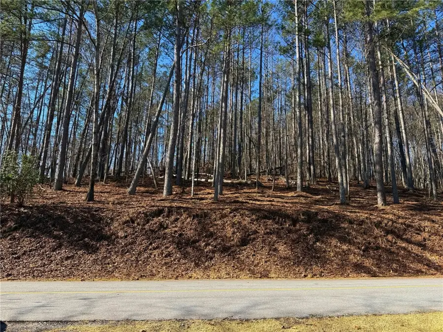 123 Stillwater Court, Sunset, SC 29685 - #2