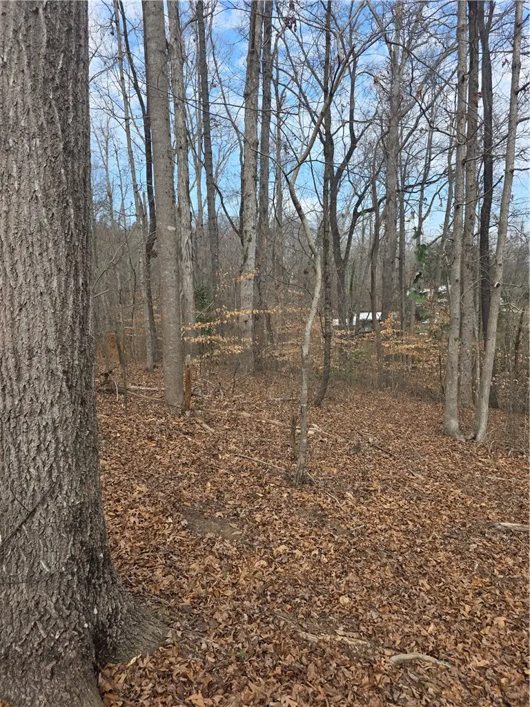 Lot 29/30 Timberlake One Circle, Seneca, SC 29678 - #2