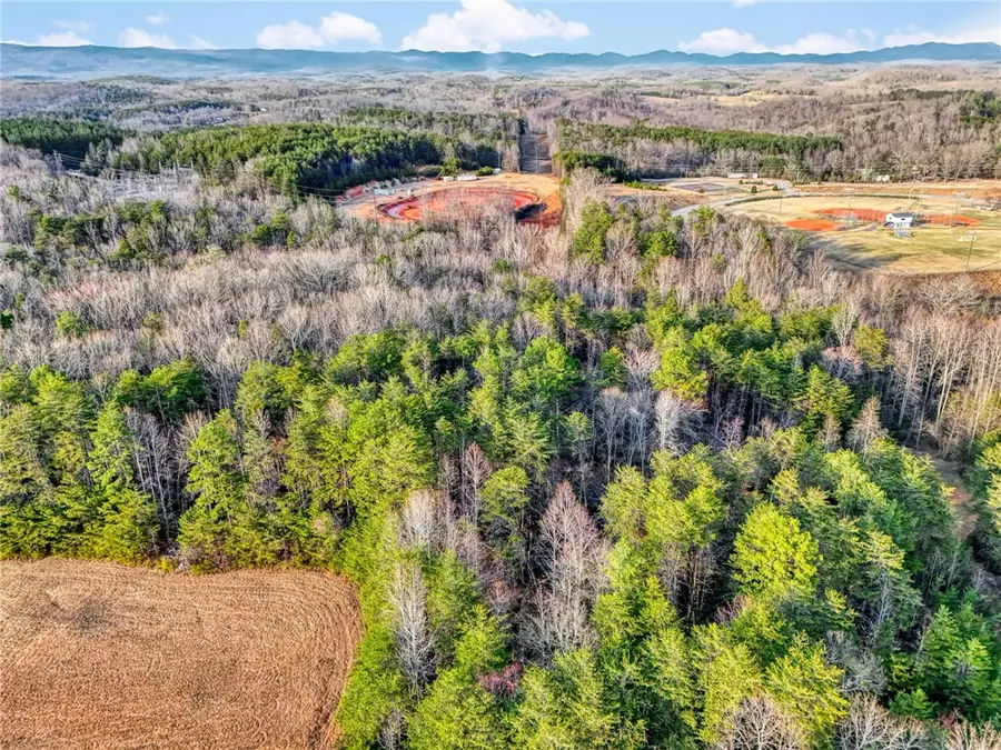 00 Cribbs Way, Easley, SC 29640 - #2