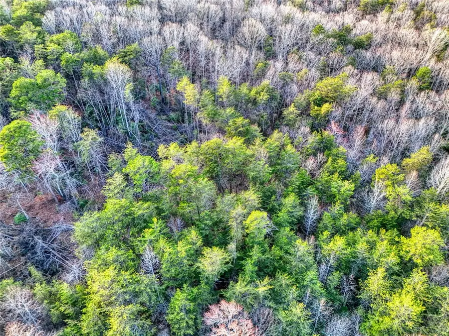 00 Cribbs Way, Easley, SC 29640 - #3