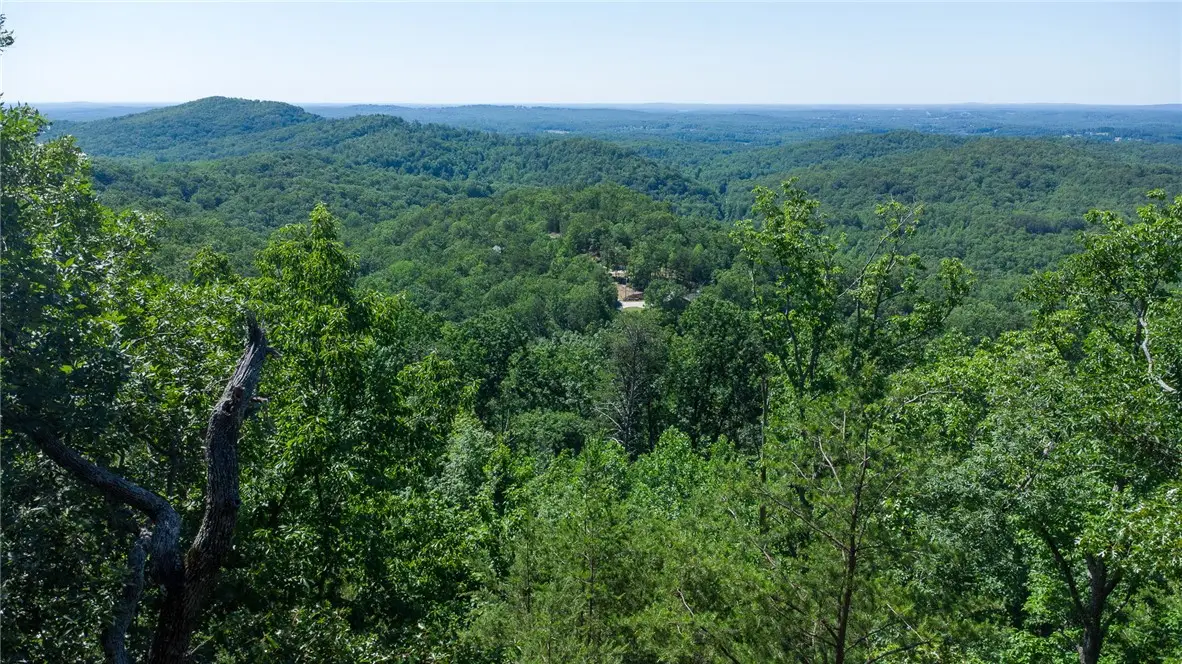 146 Glassy Falls Trail, Travelers Rest, SC 29690 - #1