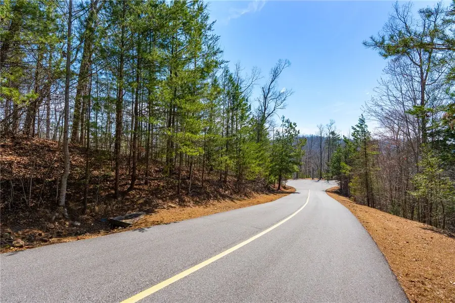 223 Logan Ridge Run, Sunset, SC 29685 - #3