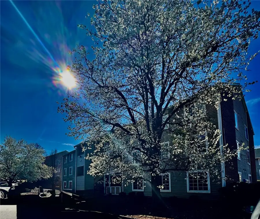 220 Elm Street #502, Clemson, SC 29631 - #2