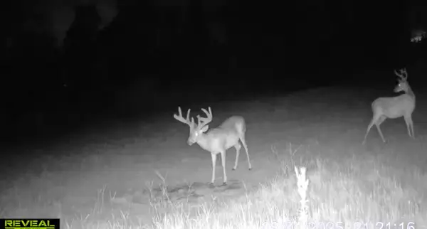 1 Sarah Simpson Road, Iva, SC 29655