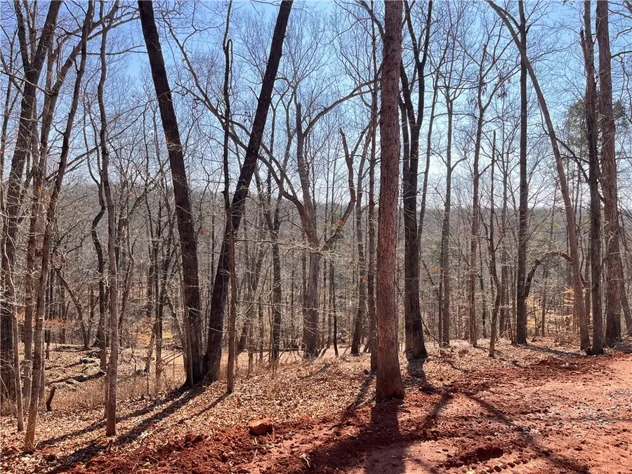 204 Holly Drive, Westminster, SC 29693 - #3