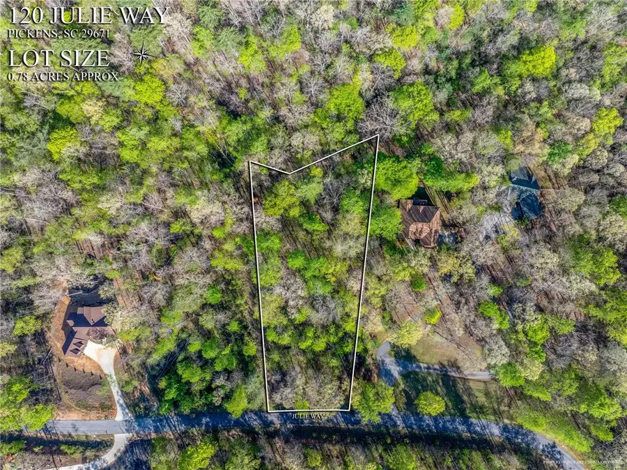 120 Julie Way, Pickens, SC 29671 - #3