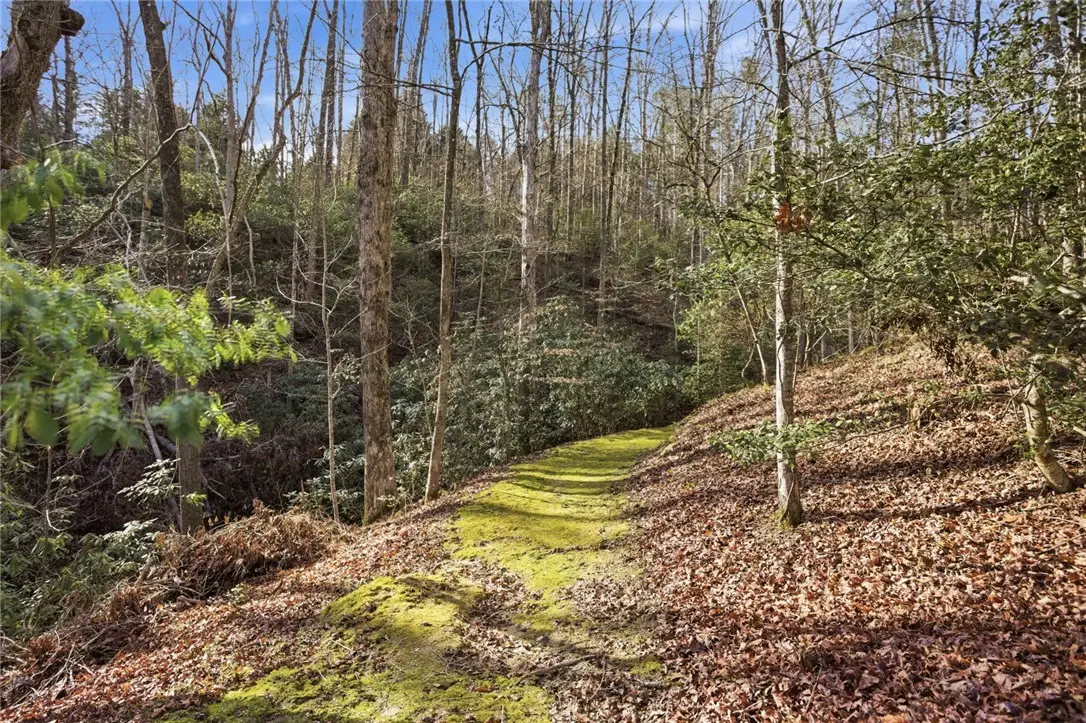 320 Holly Lane Lane, Walhalla, SC 29691 - #1