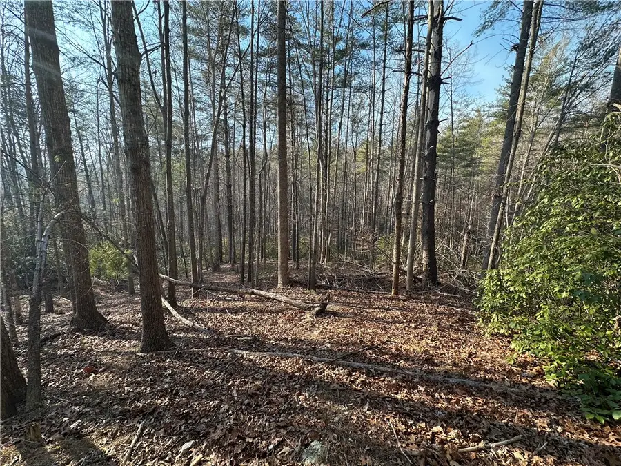 100 Fire Pink Court, Sunset, SC 29685 - #2