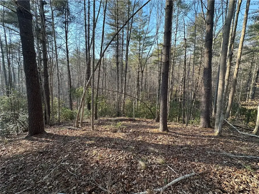 100 Fire Pink Court, Sunset, SC 29685 - #3