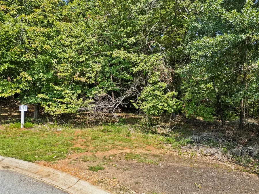 Lot 46 Loudwater Drive, Anderson, SC 29621 - #3