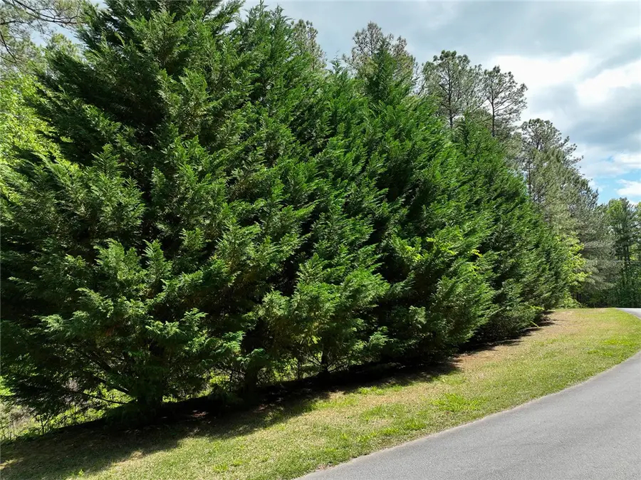 Lot S6 Jocassee Ridge Way, Salem, SC 29676 - #2