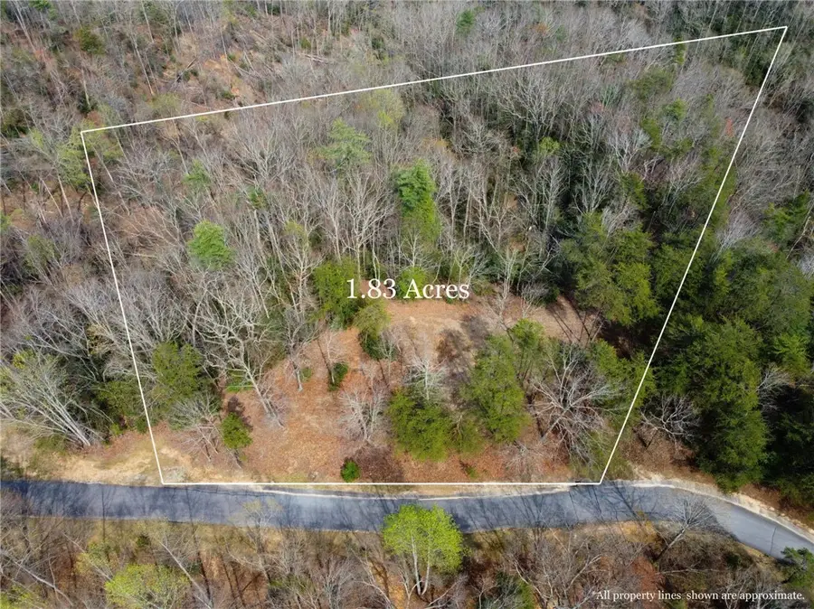 110 Buttercup Way, Sunset, SC 29685 - #3