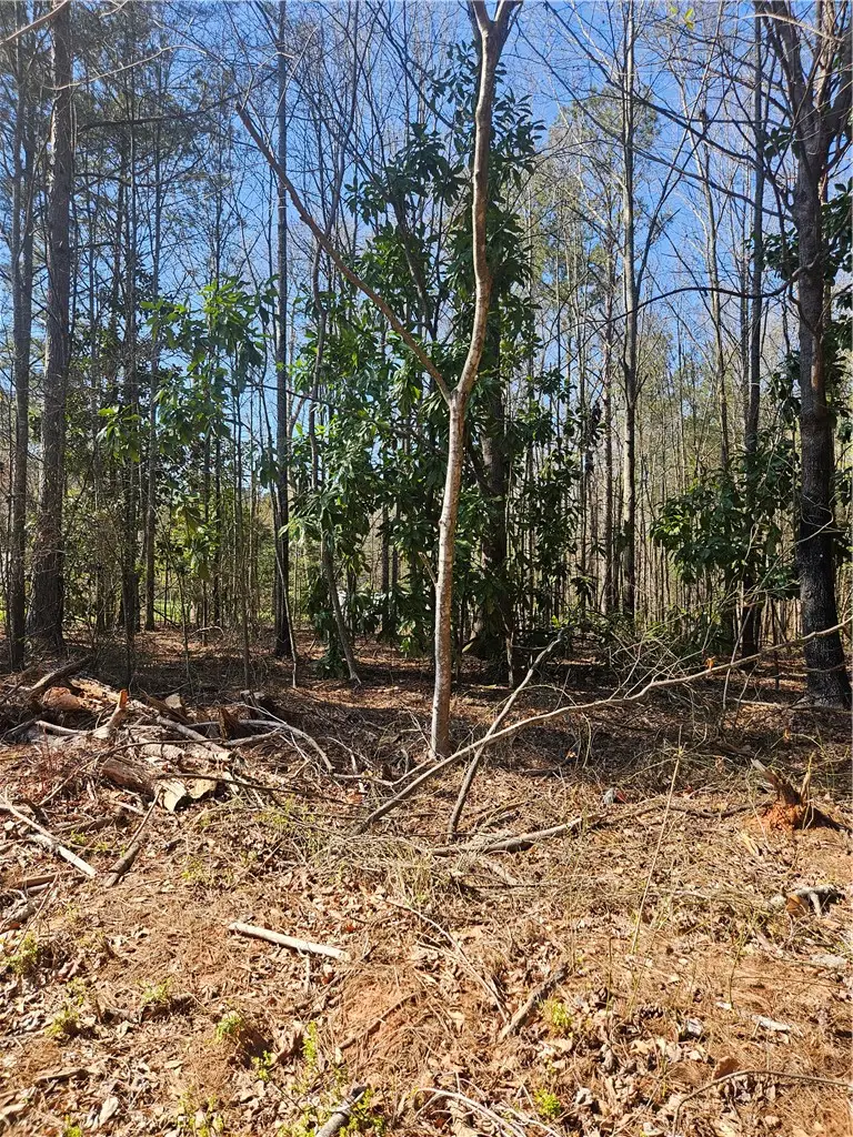 00 Hunter Mill Road, Liberty, SC 29657 - #2