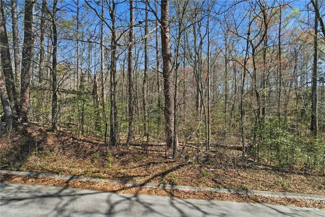 00 Springdale Avenue, Liberty, SC 29657 - #1