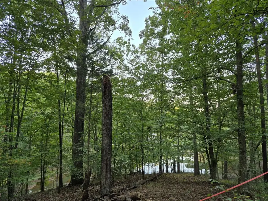 207 Turk Road, Townville, SC 29689 - #3