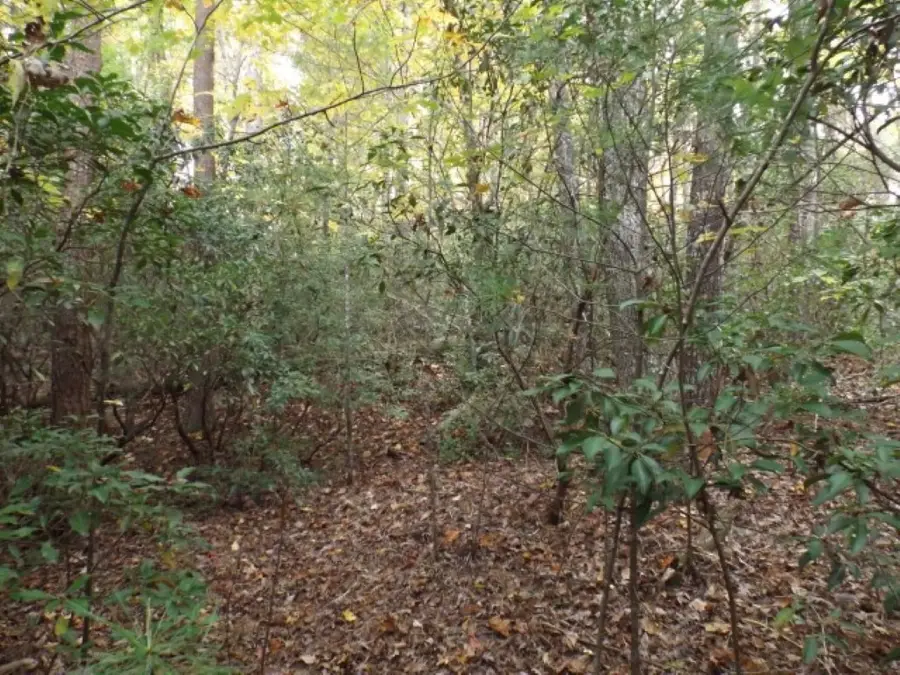 116 Fireside Lane, Pickens, SC 29671 - #2