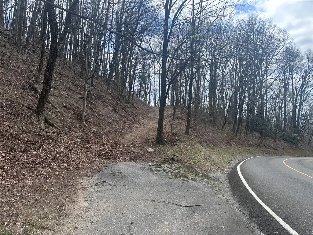 00 Flintrock Knob Lane, Landrum, SC 29356 - #1