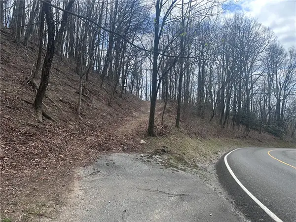 00 Flintrock Knob Lane, Landrum, SC 29356