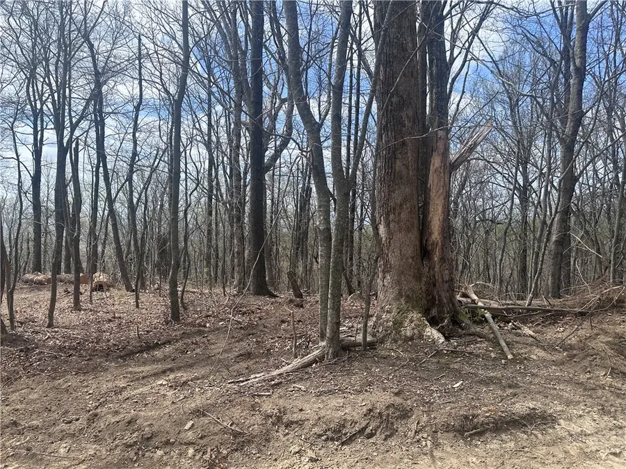 00 Flintrock Knob Lane, Landrum, SC 29356 - #3