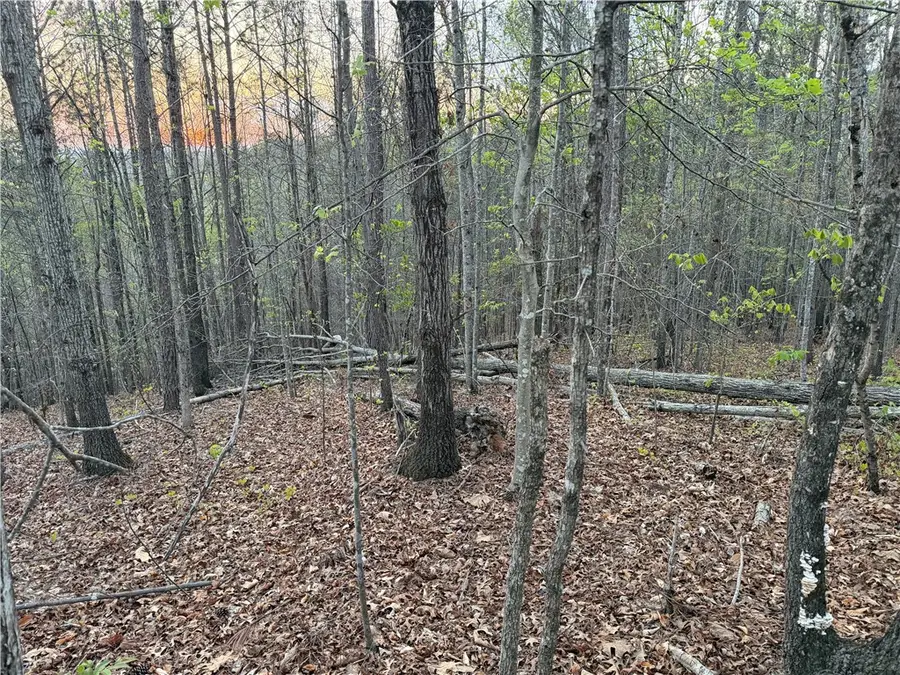 00 Ridgedale Road, Six Mile, SC 29682 - #3